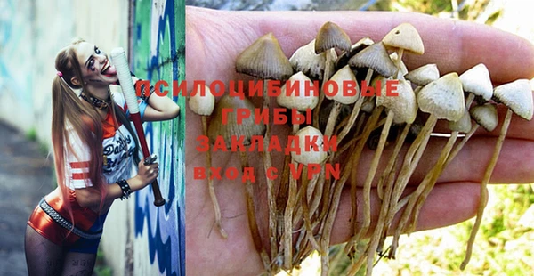 кокс Алзамай