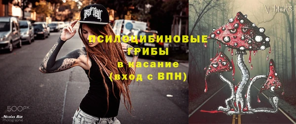 дурь Алексеевка