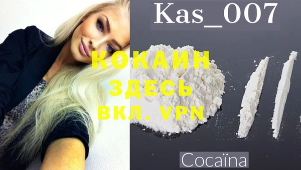 ешки Алексин