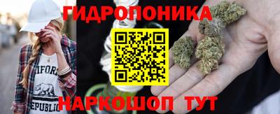 соль ск Ипатово