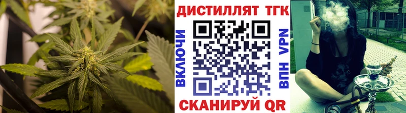 сколько стоит Междуреченск Дистиллят ТГК концентрат