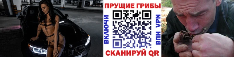 Галлюциногенные грибы Psilocybe  закладки  MEGA ТОР  Междуреченск 