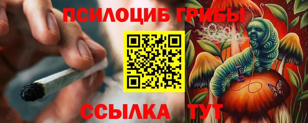 Галлюциногенные грибы Psilocybe  Галлюциногенные грибы ЛСД  Междуреченск  Вход с VPN 
