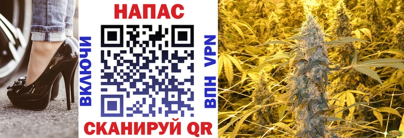 Каннабис SATIVA & INDICA  продажа наркотиков  Междуреченск 